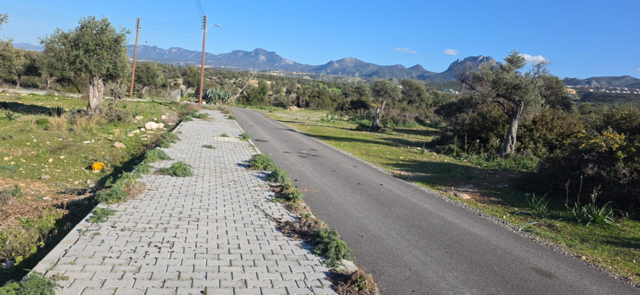 GİRNE/ÇATALKÖY’DE SATILIK ARSA-4