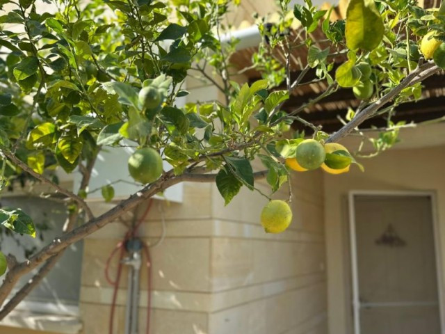 GİRNE/ESENTEPE’DE 3+1 DENİZE SIFIR DAİRE-16