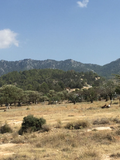 GİRNE/KARAAĞAÇ'TA SATILIK ARSA