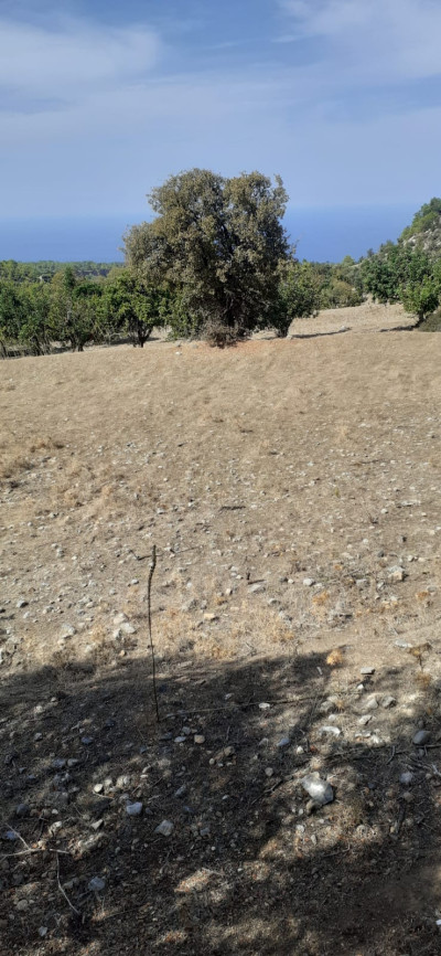 GİRNE/KARAAĞAÇ'TA SATILIK ARSA-4