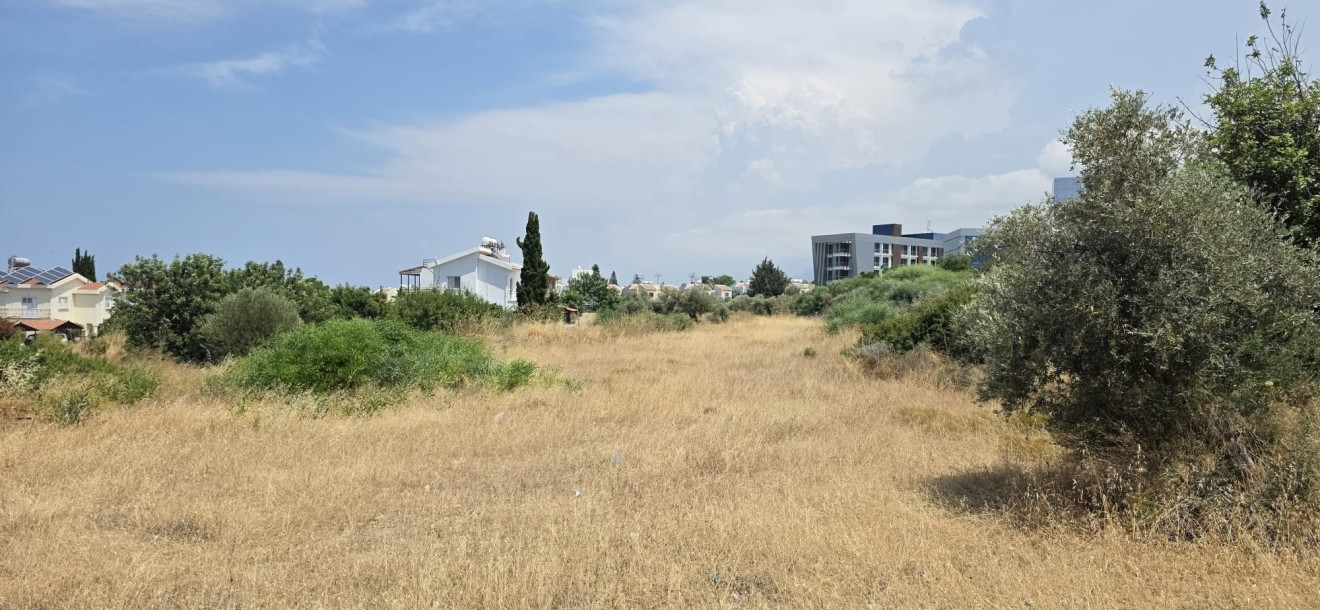 GİRNE – KARAOĞLANOĞLU SATILIK 7 DÖNÜM ARSA-1