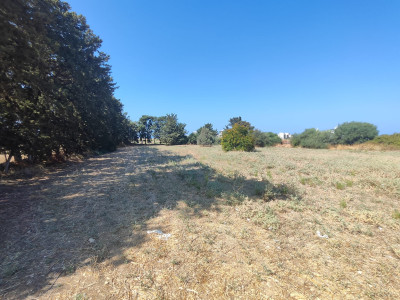 GİRNE/ALSANCAK'TA SATILIK ARSA