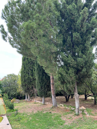 GİRNE EZİÇ PREMİER BÖLGESİNDE KİRALIK 6+1 EŞYALI VİLLA-14