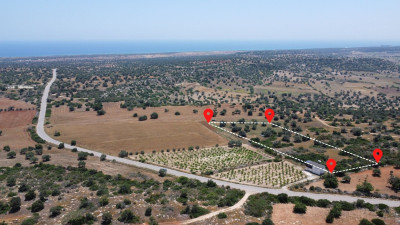 İSKELE/MEHMETÇİK'TE(KUMSALI SAHİLE 4 KM) SATILIK ARSA-2