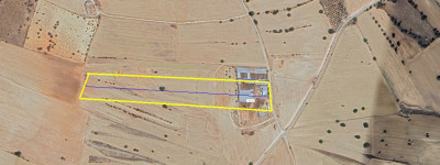 GİRNE/PINARBAŞI'NDA 25 DÖNÜM ARAZİ İÇERİSİNDE SATILIK ÇİFTLİK